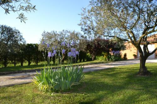 Bed & Breakfast Le Nid Au Pied Du Mont Ventoux