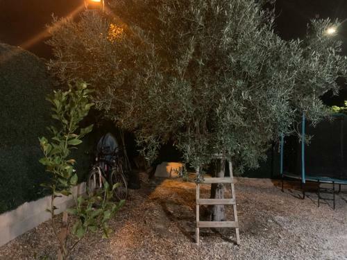 Bed & Breakfast L?olivier de Manel