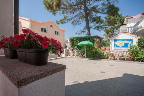 Apartmani Luka