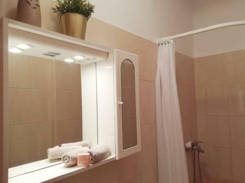 Apartments Carevic