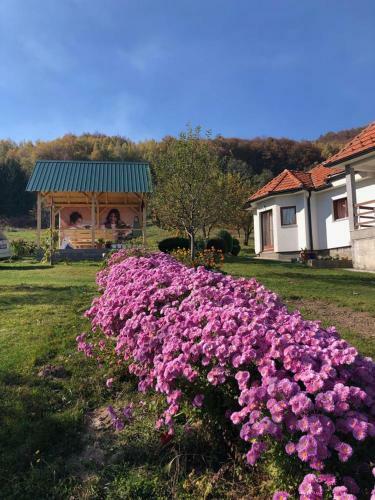 Hostal Zakukuljeno Rural House