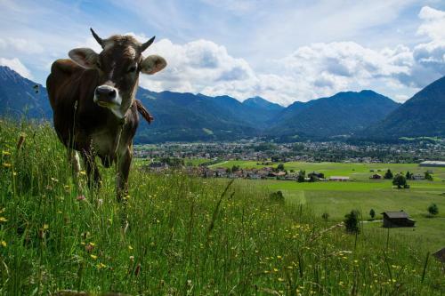 Hotel Gasthof Zum Schwanen