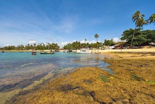 Apartamento No Villa Da Enseada Em Praia Do Forte