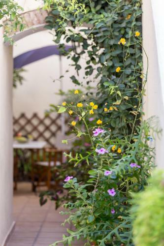 Apartamento Guesthouse Niriides