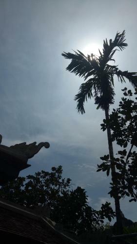 Hostal Tam Tinh Vien Homestay