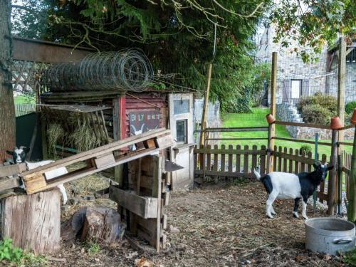 Holiday Home Au Telegraphe Ligneuville