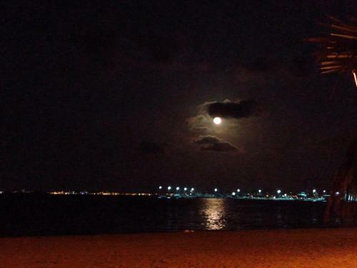 Estrella De Mar