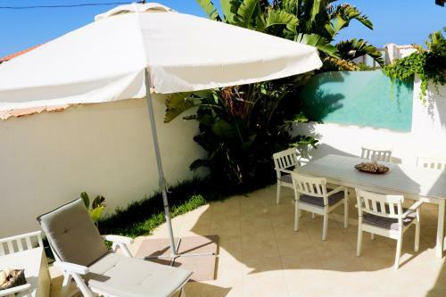 The Enlightened Turtle