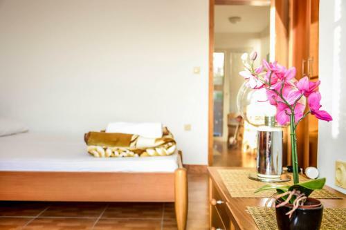 Hostal Apartments Drobni Pijesak