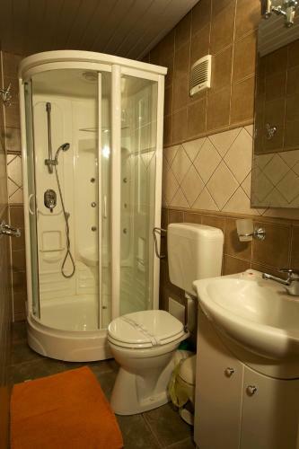Hostal Pensiunea Aurora Albac