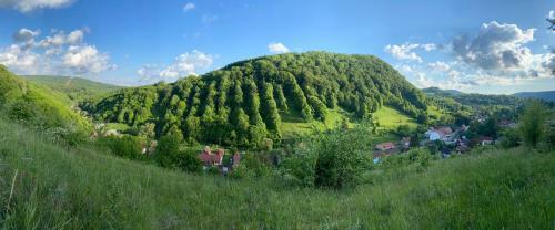Hostal Pensiune Muntii Aninei