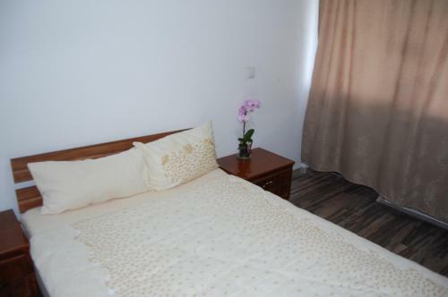 Lodge Vila Tadi