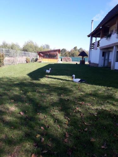 Lodge Vila Tadi