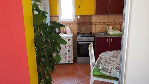 Hostal Guesthouse Djacic