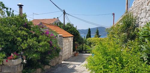 Apartman Paradiso