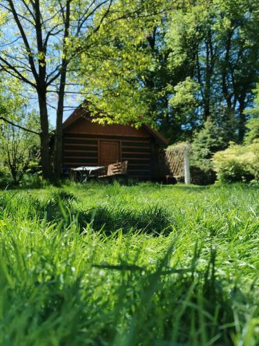 Bed & Breakfast Agroturystyka W Ogrodach