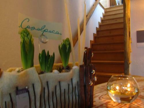 Bed & Breakfast Casalpaca