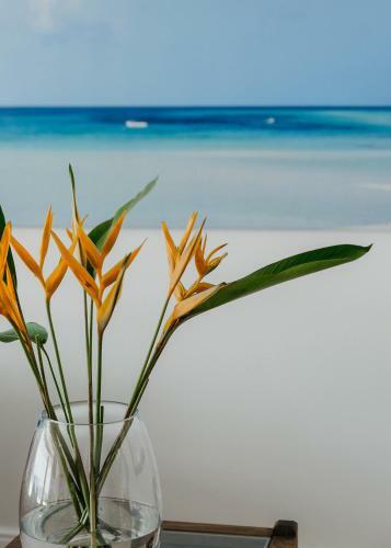 Villa Edenview Sheffield Beach