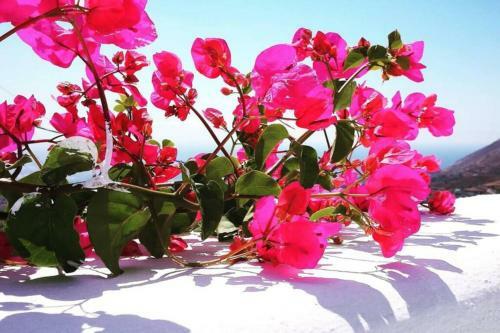 Villa Lodras' House, Genuine Santorini Experience