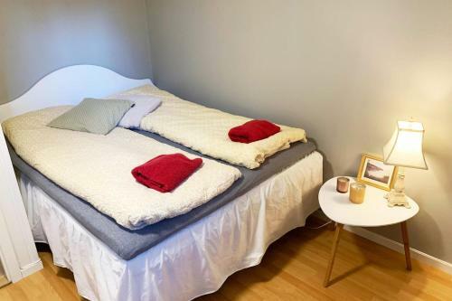 Newly Renovated Basement Apartment