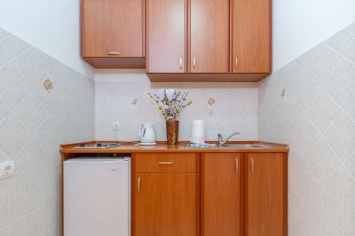 Apartments Elena