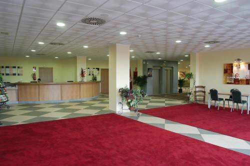 Hotel Ciudad Del Sur