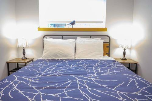 Storm Bay Modern 1 Bed Suite And Chefs Kitchen