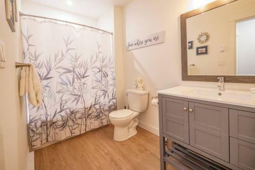 Storm Bay Modern 1 Bed Suite And Chefs Kitchen