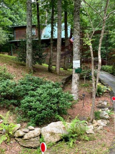 Lazy Springs Cabin