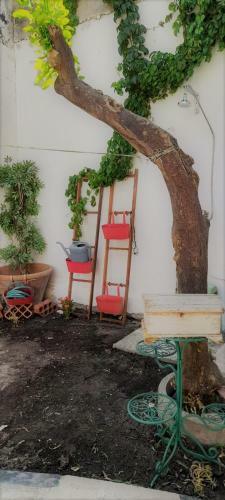 Hostal Casa Vacanze E Affittacamere Isola Di Sant'antioco