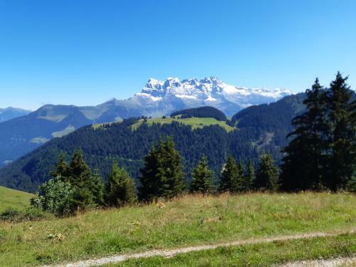 Apartamento Les Perthuis - Portes Du Soleil