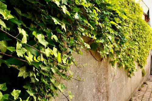 Maison De P�cheur � Villerville