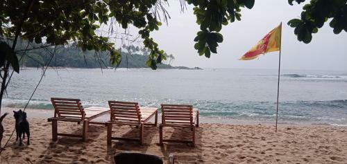 Bed & Breakfast Moon River Surf Beach Cabana