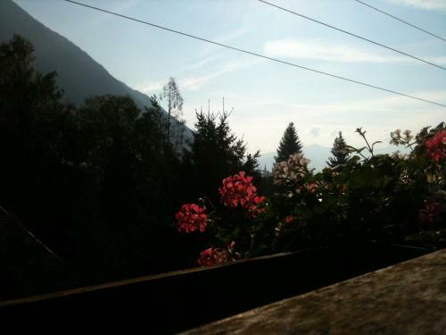 Bed & Breakfast Pension L�rchenhof