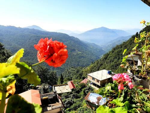 Hotel Chalet Orchid Eco Retreat