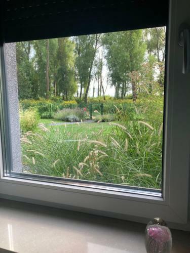 Apartamento F?zliget Mang� Garden