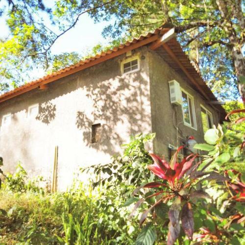 Bungalow In Heart Of Jungle Close To Panama City