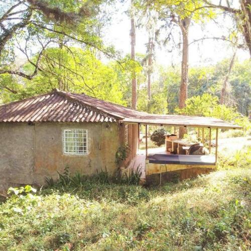 Bungalow In Heart Of Jungle Close To Panama City