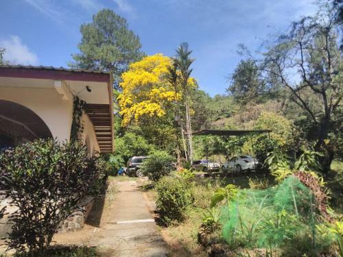 Bungalow In Heart Of Jungle Close To Panama City