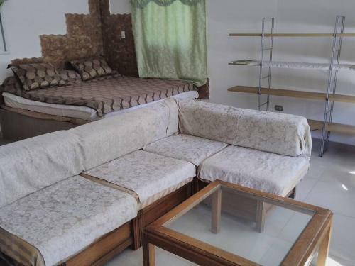 Bungalow In Heart Of Jungle Close To Panama City