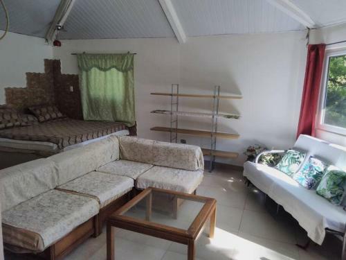 Bungalow In Heart Of Jungle Close To Panama City