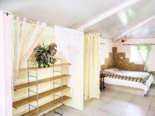 Bungalow In Heart Of Jungle Close To Panama City