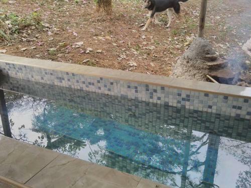 Bungalow In Heart Of Jungle Close To Panama City