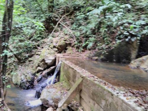 Bungalow In Heart Of Jungle Close To Panama City