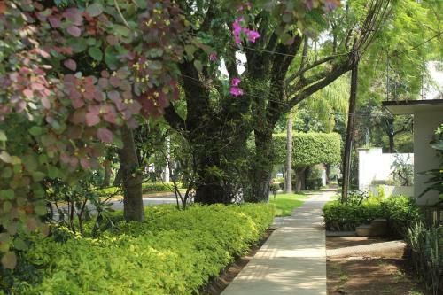 Apartamento Estudio 4 / En Coraz�n de Chapalita