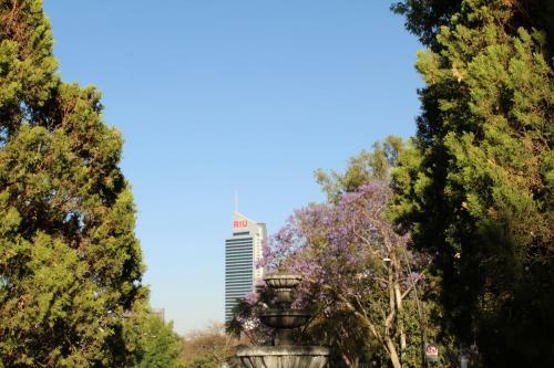 Apartamento Estudio 4 / En Coraz�n de Chapalita