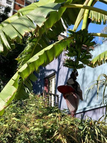 Hostal La Morada De Vicente L�pez