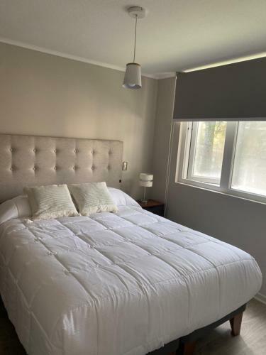 Apartamento C�modo Y Acogedor Departamento Pucon Chile