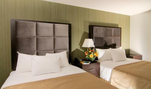 Hotel Paradise Inn And Suites