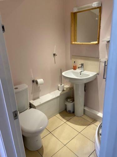 Bed & Breakfast The Ashton Mews